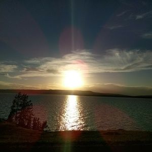 Meet your Posher, Pansy